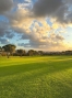 BCEABP732_28773_V0_4960.jpg