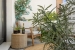 20-d1f7658cbe4ba6cd8666fec30fba80ad.jpg