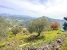 20-d1f7658cbe4ba6cd8666fec30fba80ad.jpg