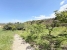 28-ef19a2c59920e2e087cd278a51b6dbf8.jpg