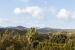 29-7c2f312881aea9bbe9ddaeb9640e2c9a.jpg