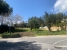 1-7980e48d732b6fc85c14b43b94d2aa54.jpg