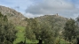 42-3aa90f523689fc5a59d5d37badfe1b6f.jpg