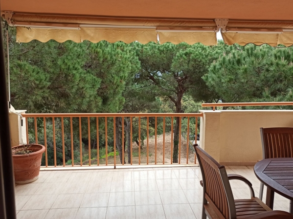 1-7980e48d732b6fc85c14b43b94d2aa54.jpg
